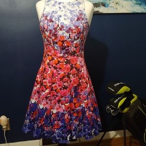 Maggy London Floral Fit & Flare 6 w/pockets